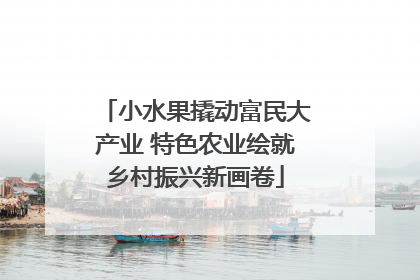 小水果撬动富民大产业 特色农业绘就乡村振兴新画卷