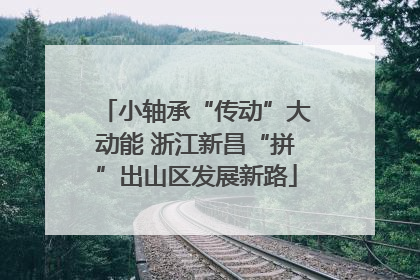 小轴承“传动”大动能 浙江新昌“拼”出山区发展新路