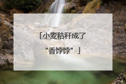 小麦秸秆成了“香饽饽”