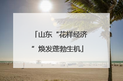 山东“花样经济”焕发蓬勃生机