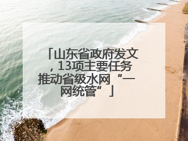 山东省政府发文，13项主要任务推动省级水网“一网统管”