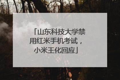 山东科技大学禁用红米手机考试，小米王化回应