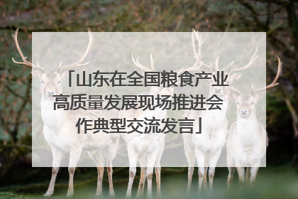 山东在全国粮食产业高质量发展现场推进会作典型交流发言