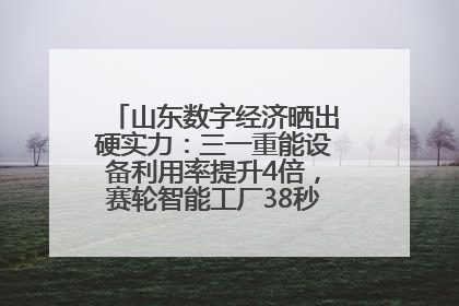 山东数字经济晒出硬实力：三一重能设备利用率提升4倍，赛轮智能工厂38秒生产一条轮胎