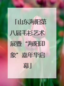 山东海阳第八届毛衫艺术展暨“海阳印象”嘉年华启幕