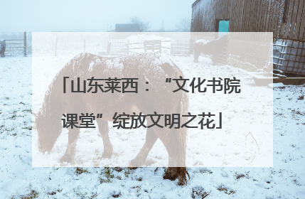 山东莱西：“文化书院课堂”绽放文明之花