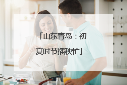 山东青岛：初夏时节插秧忙