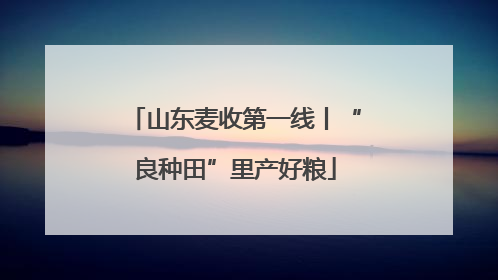 山东麦收第一线丨“良种田”里产好粮
