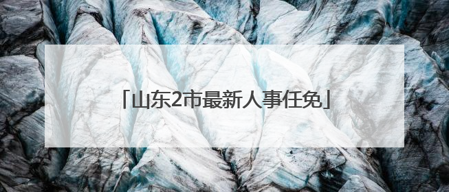 山东2市最新人事任免