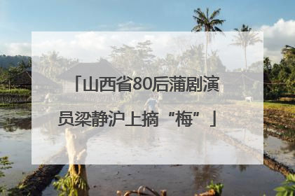 山西省80后蒲剧演员梁静沪上摘“梅”