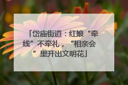 岱庙街道：红娘“牵线”不牵礼，“相亲会”里开出文明花