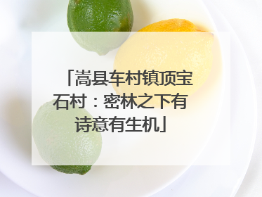 嵩县车村镇顶宝石村：密林之下有诗意有生机