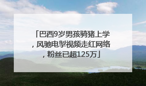 巴西9岁男孩骑猪上学，风驰电掣视频走红网络，粉丝已超125万