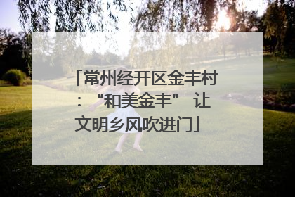 常州经开区金丰村：“和美金丰” 让文明乡风吹进门