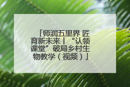 师润五里界 匠育新未来丨“认领课堂”破局乡村生物教学（视频）