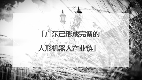 广东已形成完备的人形机器人产业链