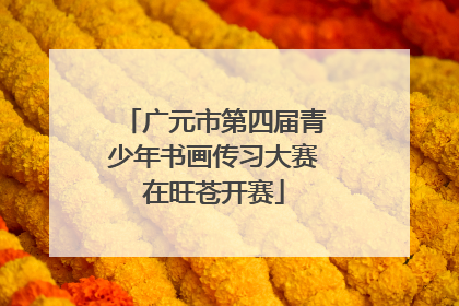 广元市第四届青少年书画传习大赛在旺苍开赛