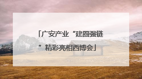 广安产业“建圈强链”精彩亮相西博会