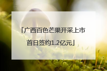 广西百色芒果开采上市 首日签约1.2亿元