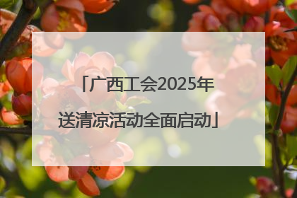 广西工会2025年送清凉活动全面启动