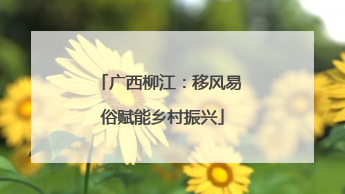 广西柳江：移风易俗赋能乡村振兴