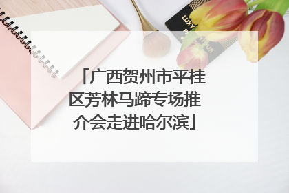 广西贺州市平桂区芳林马蹄专场推介会走进哈尔滨