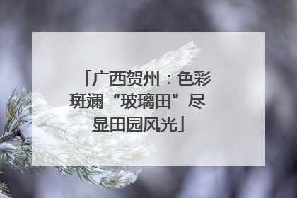 广西贺州：色彩斑斓“玻璃田”尽显田园风光