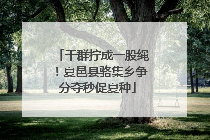 干群拧成一股绳！夏邑县骆集乡争分夺秒促夏种