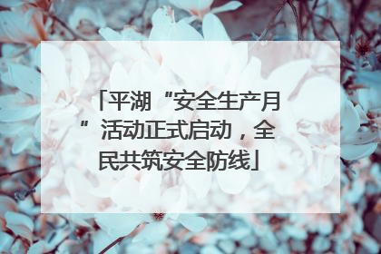 平湖“安全生产月”活动正式启动，全民共筑安全防线