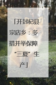 开封杞县宗店乡：多措并举保障“三夏”生产