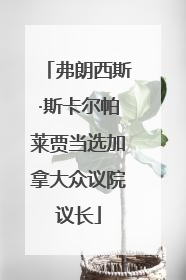 弗朗西斯·斯卡尔帕莱贾当选加拿大众议院议长