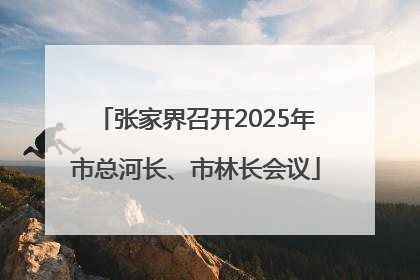 张家界召开2025年市总河长、市林长会议