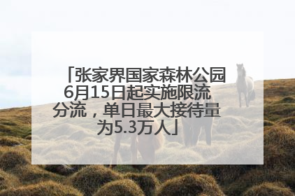 张家界国家森林公园6月15日起实施限流分流，单日最大接待量为5.3万人