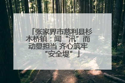 张家界市慈利县杉木桥镇：闻“汛”而动显担当 齐心筑牢“安全堤”