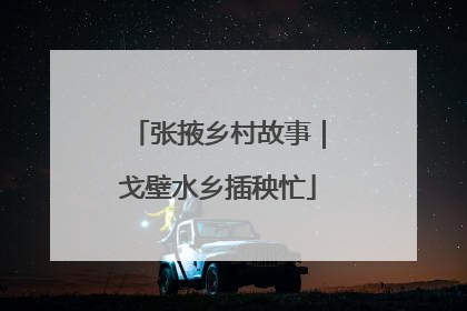 张掖乡村故事｜戈壁水乡插秧忙