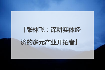 张林飞：深耕实体经济的多元产业开拓者