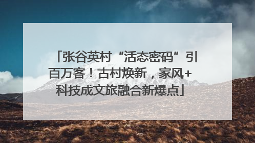 张谷英村“活态密码”引百万客！古村焕新，家风+科技成文旅融合新爆点