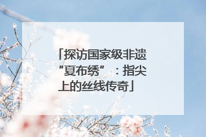 探访国家级非遗“夏布绣”：指尖上的丝线传奇
