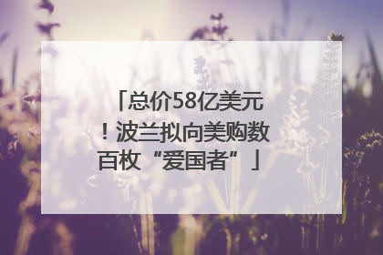 总价58亿美元！波兰拟向美购数百枚“爱国者”