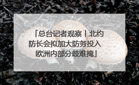 总台记者观察丨北约防长会拟加大防务投入 欧洲内部分歧难掩