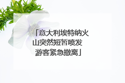 意大利埃特纳火山突然短暂喷发 游客紧急撤离