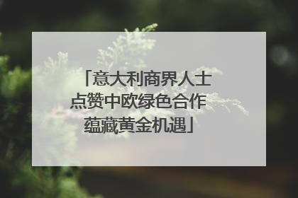 意大利商界人士点赞中欧绿色合作蕴藏黄金机遇