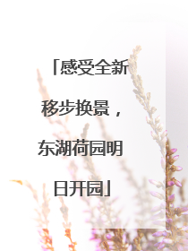 感受全新移步换景，东湖荷园明日开园