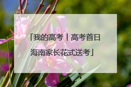 我的高考丨高考首日 海南家长花式送考