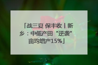 战三夏 保丰收丨新乡：中低产田“逆袭” 亩均增产15%