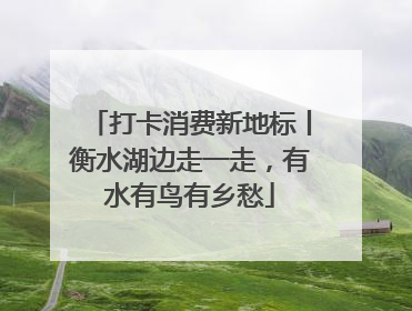 打卡消费新地标丨衡水湖边走一走，有水有鸟有乡愁