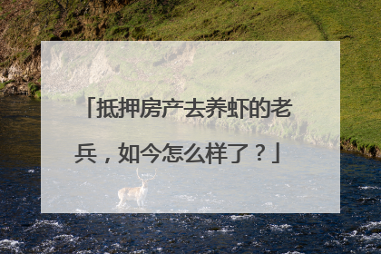 抵押房产去养虾的老兵，如今怎么样了？