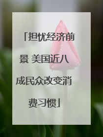 担忧经济前景 美国近八成民众改变消费习惯