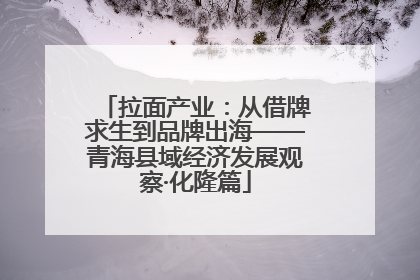 拉面产业：从借牌求生到品牌出海——青海县域经济发展观察·化隆篇