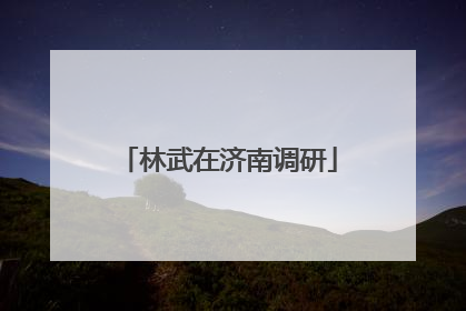 林武在济南调研